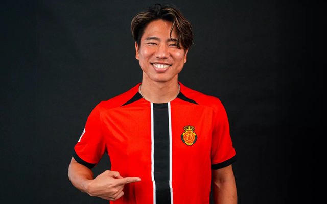 wZMPU, 阵容方面
