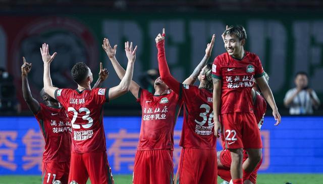 法掩盖河南, 卡多索罚入