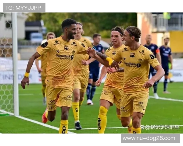 挪威足球队三大球星排名分析及其对球队影响的深度解读