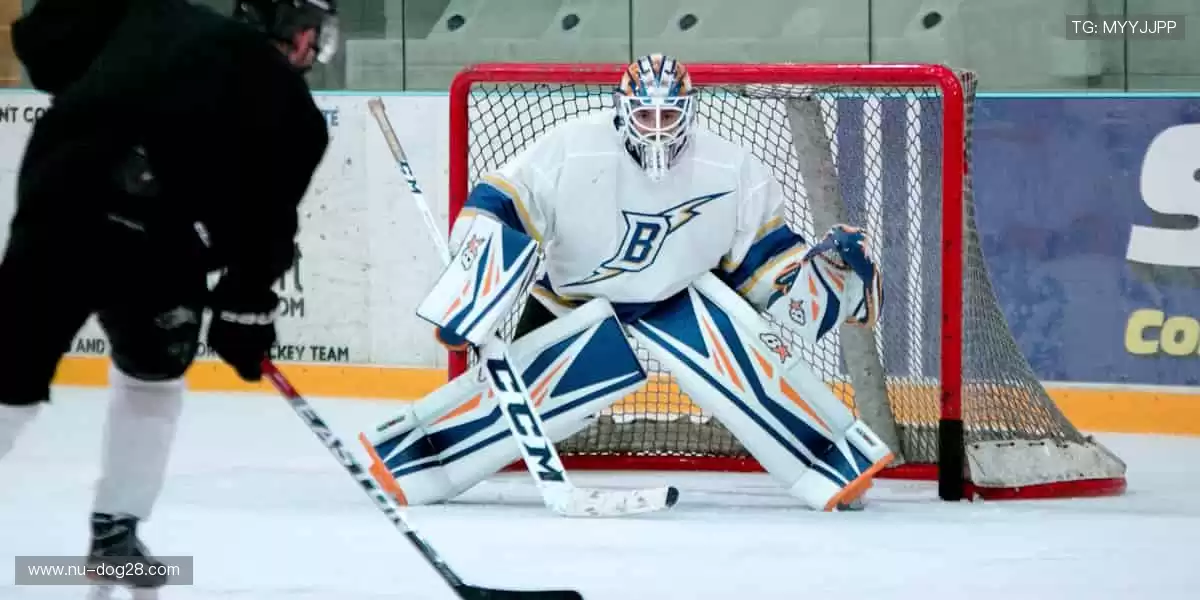 热血赛事，巅峰对决！🏆